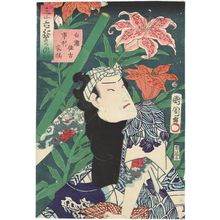 Toyohara Kunichika: from the series Thirty-six Selected Flowers and Grasses (Sanjûrokkasô no uchi) - Museum of Fine Arts