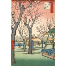 歌川広重: Plum Garden at Kamata (Kamata no umezono), from the series One Hundred Famous Views of Edo (Meisho Edo hyakkei) - ボストン美術館