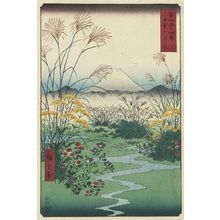 Utagawa Hiroshige: Ôtsuki Plain in Kai Province (Kai Ôtsuki no hara), from the series Thirty-six Views of Mount Fuji (Fuji sanjûrokkei) - Museum of Fine Arts