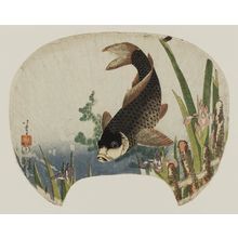 Katsushika Hokusai: Carp and Iris - Museum of Fine Arts