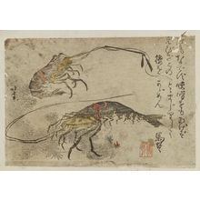 Katsushika Hokusai: Shrimp and Seaweed - Museum of Fine Arts