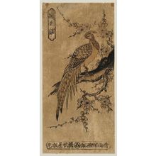 Nishimura Magosaburô: Golden Pheasant and Flowering Plum (Ume ni kinkei) - Museum of Fine Arts