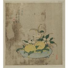 宋紫石: Picture for Long Life (...ju no zu): Peaches and Camellias in a Bowl - ボストン美術館