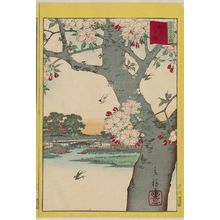 二歌川広重: Double Cherry Blossoms at the Sumida River in the Eastern Capital (Tôto Sumidagawa yaezakura), from the series Thirty-six Selected Flowers (Sanjûrokkasen) - ボストン美術館