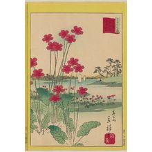 二歌川広重: Primrose at Todahara in Tokyo (Tôkyô Todahara sakuragusa), from the series Thirty-six Selected Flowers (Sanjûrokkasen) - ボストン美術館