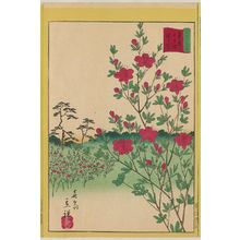 二歌川広重: Azaleas at Ôkubo in Tokyo (Tôkyô Ôkubo tsutsuji), from the series Thirty-six Selected Flowers (Sanjûrokkasen) - ボストン美術館