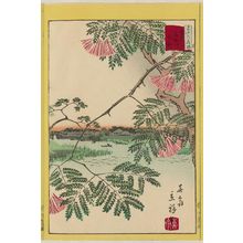 二歌川広重: Mimosa at the Ayase River in Tokyo (Tôkyô Ayasegawa nemu), from the series Thirty-six Selected Flowers (Sanjûrokkasen) - ボストン美術館