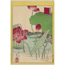 Utagawa Hiroshige II: Lotuses at Shinobazu Pond in Tokyo (Tôkyô Shinobazu ike renge), from the series Thirty-six Selected Flowers (Sanjûrokkasen) - Museum of Fine Arts