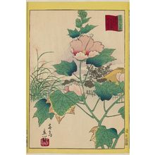 Utagawa Hiroshige II: Hibiscus in the Flower Garden [at Mukôjima] on the Sumida River in the Eastern Capital (Tôto Sumidagawa hana yashiki fuyô-bana), from the series Thirty-six Selected Flowers (Sanjûrokkasen) - Museum of Fine Arts