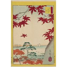 二歌川広重: Maple Leaves at Kaian-ji Temple in Tokyo (Tôkyô Kaian-ji kaede), from the series Thirty-six Selected Flowers (Sanjûrokkasen) - ボストン美術館