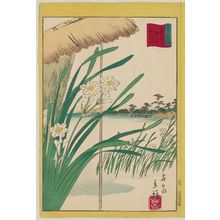 Utagawa Hiroshige II: Narcissus at Oshiage in the Eastern Capital (Tôto Oshiage suisenka), from the series Thirty-six Selected Flowers (Sanjûrokkasen) - Museum of Fine Arts