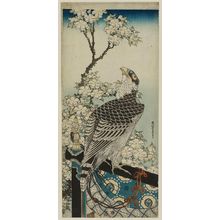 Katsushika Hokusai: Hawk and Cherry Blossoms - Museum of Fine Arts