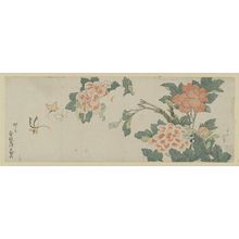 Katsushika Hokusai: Peonies and Butterflies - Museum of Fine Arts