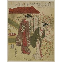 Suzuki Harunobu: Hagi, from the series Beauties of the Floating World Compared to Flowers (Ukiyo bijin yosebana) - Museum of Fine Arts
