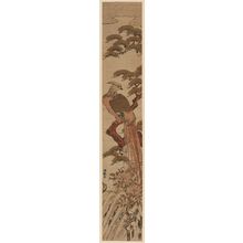 Japanese Print "Golden Pheasant on Pine Tree beside Waterfall" by Isoda Koryusai, 磯田湖龍齋 (Isoda Koryûsai)