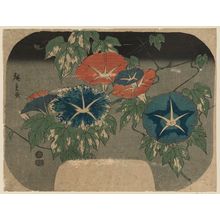 Utagawa Hiroshige II: Morning Glories - Museum of Fine Arts