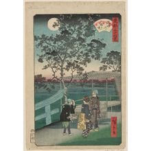 Utagawa Hiroshige II: Mimeguri Embankment on the Sumida River (Sumidagawa Mimeguri tsutsumi), from the series Thirty-six Views of the Eastern Capital (Tôto sanjûrokkei) - Museum of Fine Arts