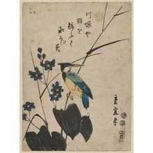 Utagawa Hiroshige II: Kingfisher and Mizu-aoi - Museum of Fine Arts