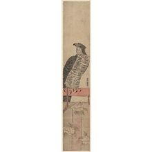 Kitao Shigemasa: Falcon Perched on Stand - Museum of Fine Arts