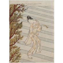 Suzuki Harunobu: Climbing the Stairs One Hundred Times - Museum of Fine Arts