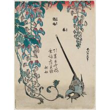 葛飾北斎: Wisteria and Wagtail (Fuji, sekirei), from an untitled series known as Small Flowers - ボストン美術館