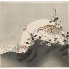 Tsukioka Kogyo: Two quail and chrysanthemums against a rising moon - Museum of Fine Arts