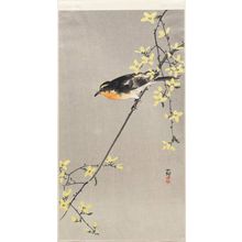 Ohara Koson: Bird on Forsythia Branch - Museum of Fine Arts