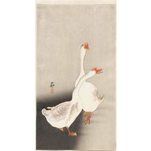 小原古邨: Two white geese - ボストン美術館