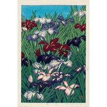 川瀬巴水: Iris (Ayame) - ボストン美術館