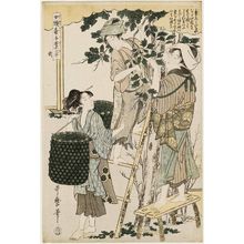 喜多川歌麿: No. 2 from the series Women Engaged in the Sericulture Industry (Joshoku kaiko tewaza-gusa) - ボストン美術館
