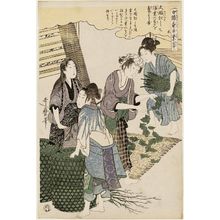 Kitagawa Utamaro: No. 5 from the series Women Engaged in the Sericulture Industry (Joshoku kaiko tewaza-gusa) - Museum of Fine Arts