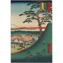 Utagawa Hiroshige: Original Fuji, Meguro (Meguro Moto-Fuji), from the series One Hundred Famous Views of Edo (Meisho Edo hyakkei) - Museum of Fine Arts