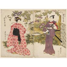 Utagawa Toyokuni I: Actor Ichikawa Danjûrô (R) and Iwai Kumesaburô as Onatsu (L) - Museum of Fine Arts