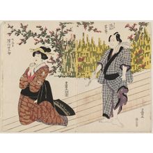 Utagawa Toyokuni I: Actors Sawamura Shirogorô (R) and Sawamura Tanosuke (L) - Museum of Fine Arts