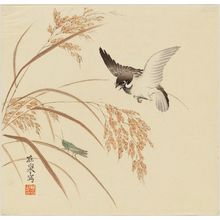 Hara Zaisen: Sparrow, grasshopper and rice plant - ボストン美術館