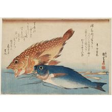Utagawa Hiroshige: Scorpionfish, Isaki, and Ginger, from an untitled series known as Large Fish - Museum of Fine Arts
