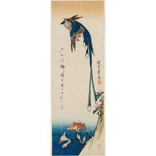 Utagawa Hiroshige: Magpie and Azalea - Museum of Fine Arts