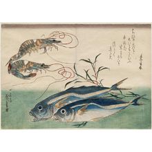 Utagawa Hiroshige: Horse Mackerel, Freshwater Prawns, and Seaweed, from an untitled series known as Large Fish - Museum of Fine Arts