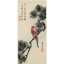 Utagawa Hiroshige: Macaw on Pine Branch - Museum of Fine Arts