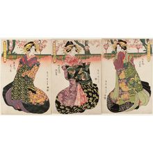 Kikugawa Eizan: , from the series A Fashionable Comparison of the Famous Flowers of the Pleasure Quarters (Fûryû seirô meika awase) - Museum of Fine Arts