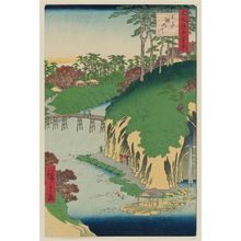 歌川広重: Takinogawa, Ôji (Ôji Takinogawa), from the series One Hundred Famous Views of Edo (Meisho Edo hyakkei) - ボストン美術館