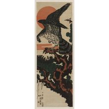 Kunihide: Hawk's Nest - Museum of Fine Arts