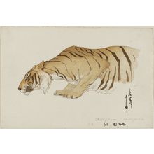 吉田博: Sketch of Tiger (Tora), from the series Zoo (Dôbutsuen) - ボストン美術館