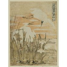 磯田湖龍齋: Returning Sails of the Iris (Kakitsubata kihan), from the series Eight Fanciful Views of Plants (Mitate sômoku hakkei) - ボストン美術館