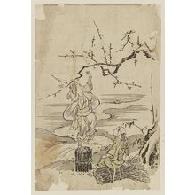 磯田湖龍齋: Women of Ôhara Picking Plum Blossoms - ボストン美術館