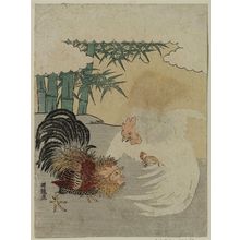 磯田湖龍齋: Cocks Fighting near Bamboo - ボストン美術館