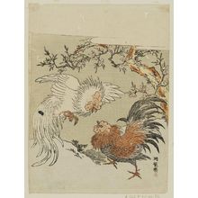 Isoda Koryusai: Cocks Fighting under a Blossoming Tree - Museum of Fine Arts