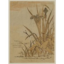 Isoda Koryusai: White Heron and Iris - Museum of Fine Arts