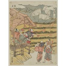 Ishikawa Toyomasa: Boar, the Twelfth Month (I, Gokugetsu), from the series Twelve Signs of the Zodiac (Jûni shi) - Museum of Fine Arts