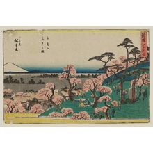 Utagawa Hiroshige: Cherry-blossom Viewing at Asuka Hill (Asukayama hanami no zu), from the series Famous Places in Edo, Newly Selected (Shinsen Edo meisho) - Museum of Fine Arts
